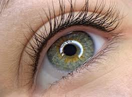 Перманент міжвіка